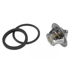 Wahler Kyljenvätsketermostat 3017.92D50