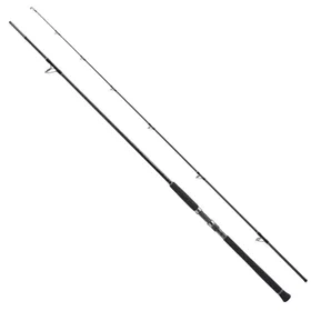 Shimano Fishing XR S100m Spinning 3.05m/56g