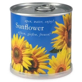 MAC's Tournesol