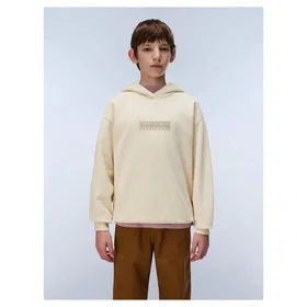 Napapijri Box Logo Hoodie (Unisex)