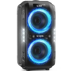 W-King DW-1 Bluetooth Speaker