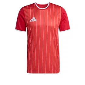Adidas Graphic Jersey T-shirt (Unisex)
