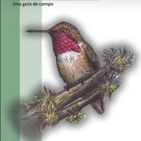 Colibríes de Panama En fält