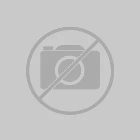 Renkforce RF-4538136