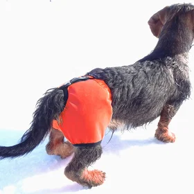 Kardog Hundvest