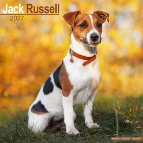 Carousel Jack Russell Veggkalender 2027
