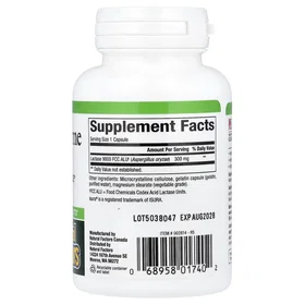 Natural Factors Lactase Enzyme 300mg 60 Capsules
