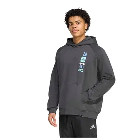 Adidas Power Graphic Hoodie (Herr)