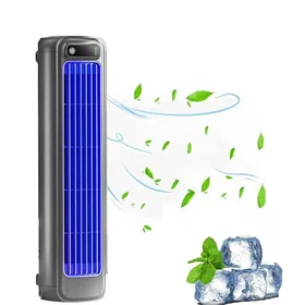 PIMPIMSKY Tour Fan