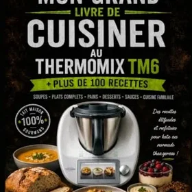 Thermomix TM6