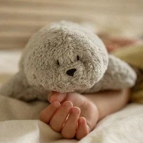 Moonie Seal Sleep Toy
