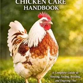 Irish Kycklingvårdshandbok