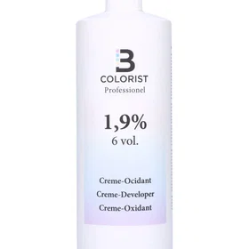 BColorist 1.9% 6 Vol Creme-Developer 1000ml