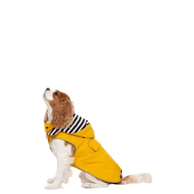 Trespaws Seadog Dog Coat