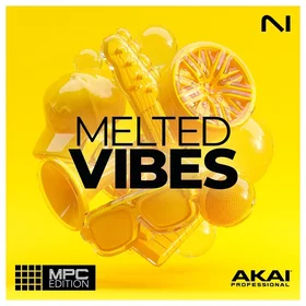 Native Instruments MPC Expansion Melted Vibes Production audio logiciel