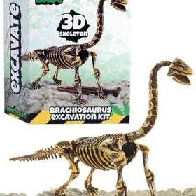Brachiosaurus Utgrävningsset 434-5032