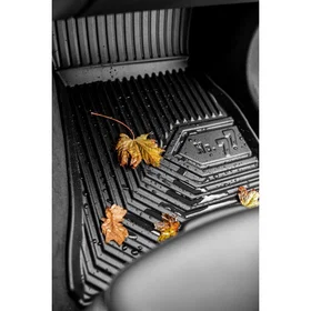 Frogum Renault Clio III