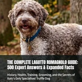 Lagotto Guide