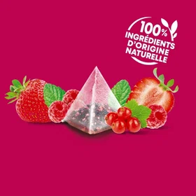 L'éléphant Framboise Menthe Herbal Tea Bags 40g