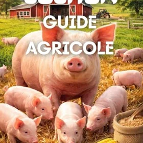 Cochon FARMING GUIDE