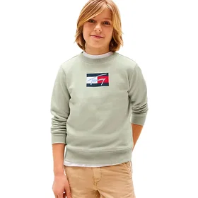 Tommy Hilfiger Script Flag Sweatshirt (Jr)