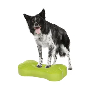 FitPAWS Bone Grønn 58x25cm