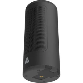 POCA Audio PINE Beat