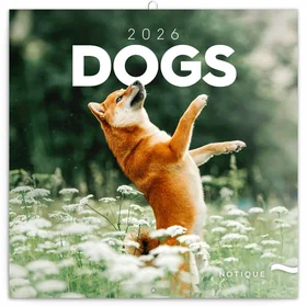 Dogs Wall Calendar 2026 30x30cm