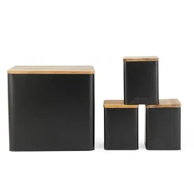 Salter Toronto 4-Piece Set Storage Container BW12900EU7
