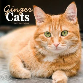 Browntrout Ginger Cats Calendar 2027