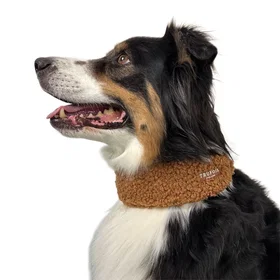 Trufois Teddy Halsband L