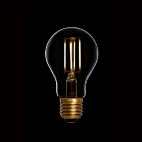 Danlamp 28029 Exteriör Standard E27 2200K 420lm 4.5W