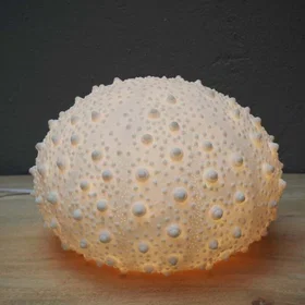 Chehoma (23x34cm)