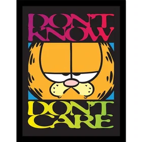 Garfield Frame Don't Know Don't Care