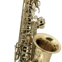Roy Benson AS-201 Alto Saxophone for Children