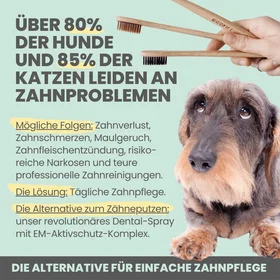 Noms+ Dental Spray Naturlig 100ml