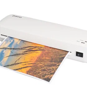 Alaska Pavo 8053964 A3 Ignite