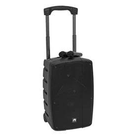 Omnitronic WAMS-12BT2