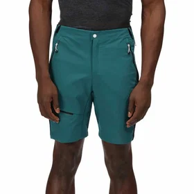 Regatta Highton Pro Shorts (Herr)