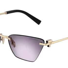 Tiffany & Co. TF3120