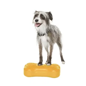 FitPAWS Mini Balanseplater 2-pack