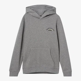 Quiksilver Huvtröja Big Logo Hoodie (Herr)