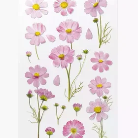 Appree Fleurs Décoratives Autocollantes Cosmos Aster 6st