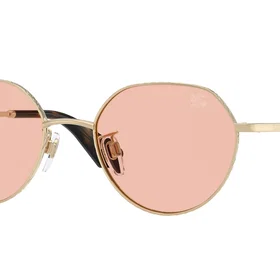 Burberry BE3173D