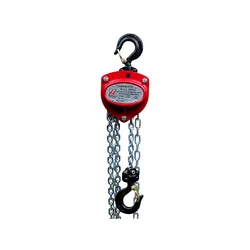 Levex Force Crochet de levage 500 Kg Noir Mat