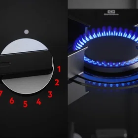 Electrolux