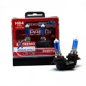 EINPARTS HB4 EPB64 HB4 12V 51W 2-pack