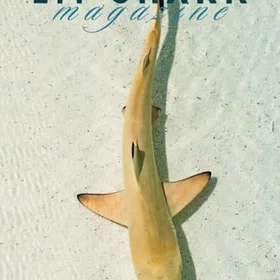 Lit Tidskrift Utgåva 10