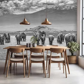 Hexoa Éléphants Kilimandjaro