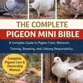 Independently Bible